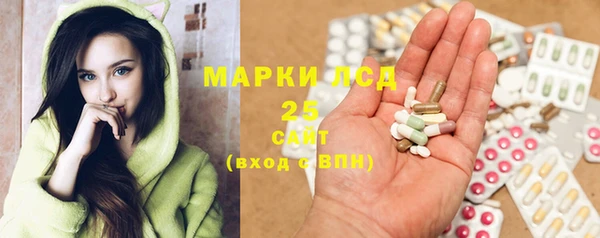 ПСИЛОЦИБИНОВЫЕ ГРИБЫ Коряжма
