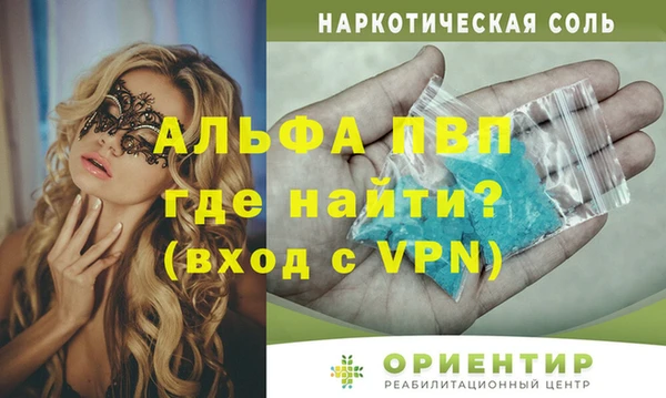 крисы Корсаков