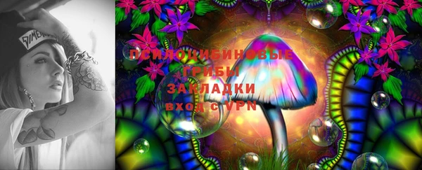 дживик Кодинск