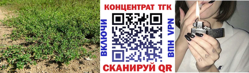 Купить закладки  Озёры  Дистиллят ТГК концентрат 