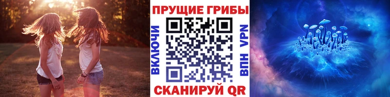 Купить где  Озёры  Псилоцибиновые грибы мицелий 